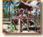 Elefantentrekking Phuket