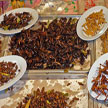 baked insects