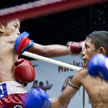 muay thai - kickboxing
